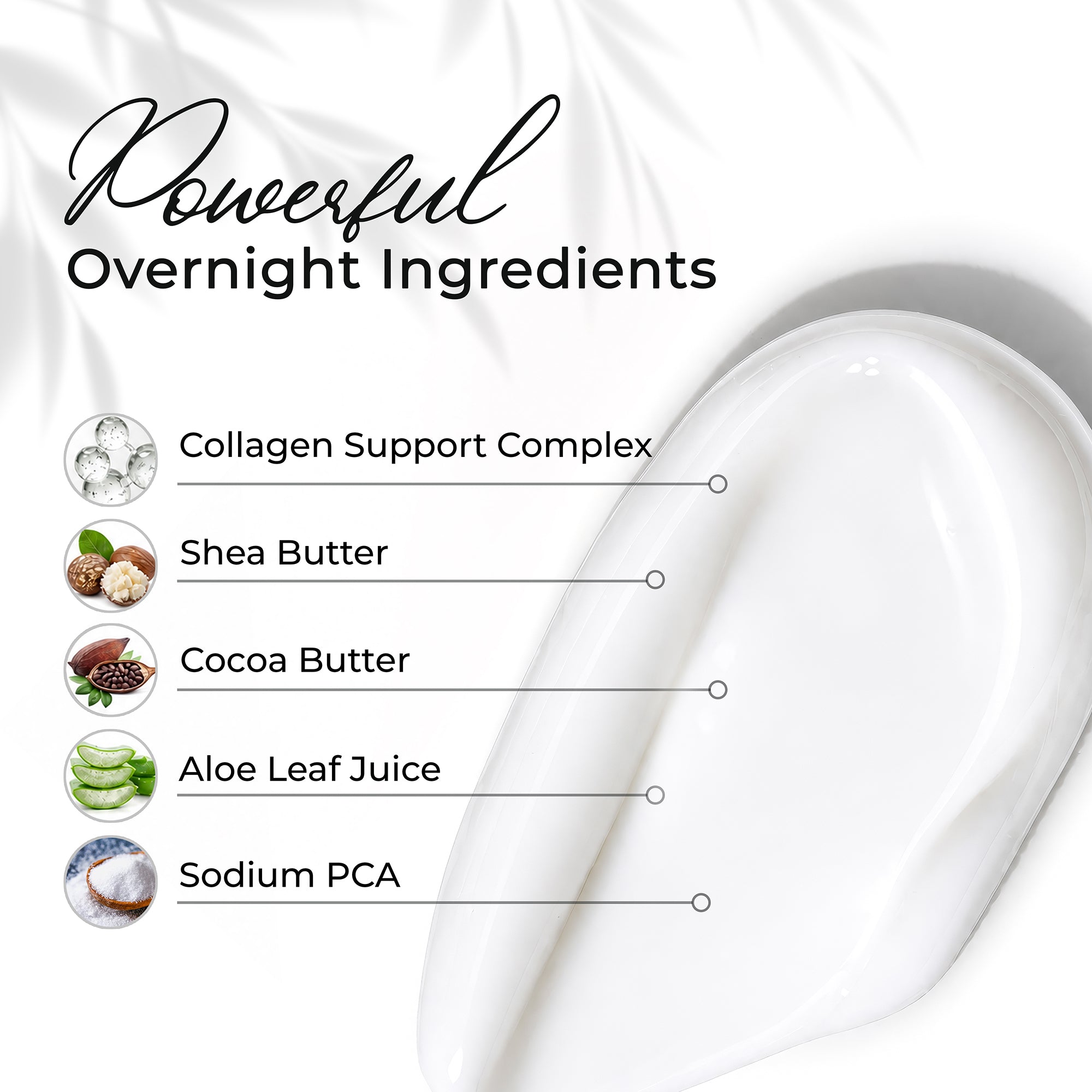 Collagen Night Cream