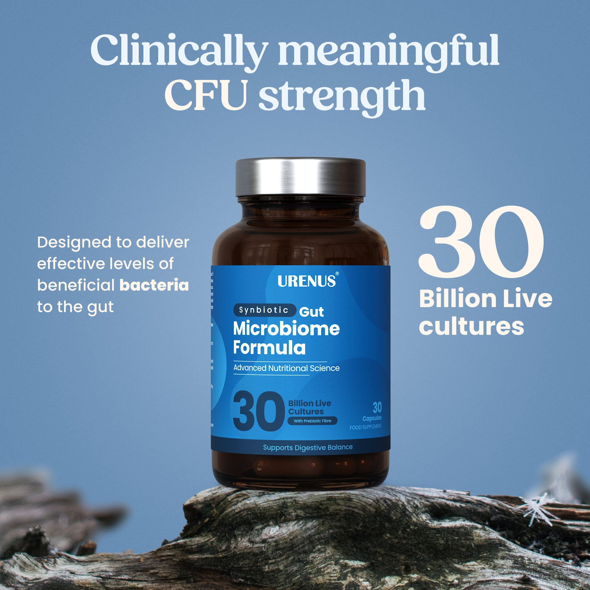Synbiotic Gut Microbiome Formula
