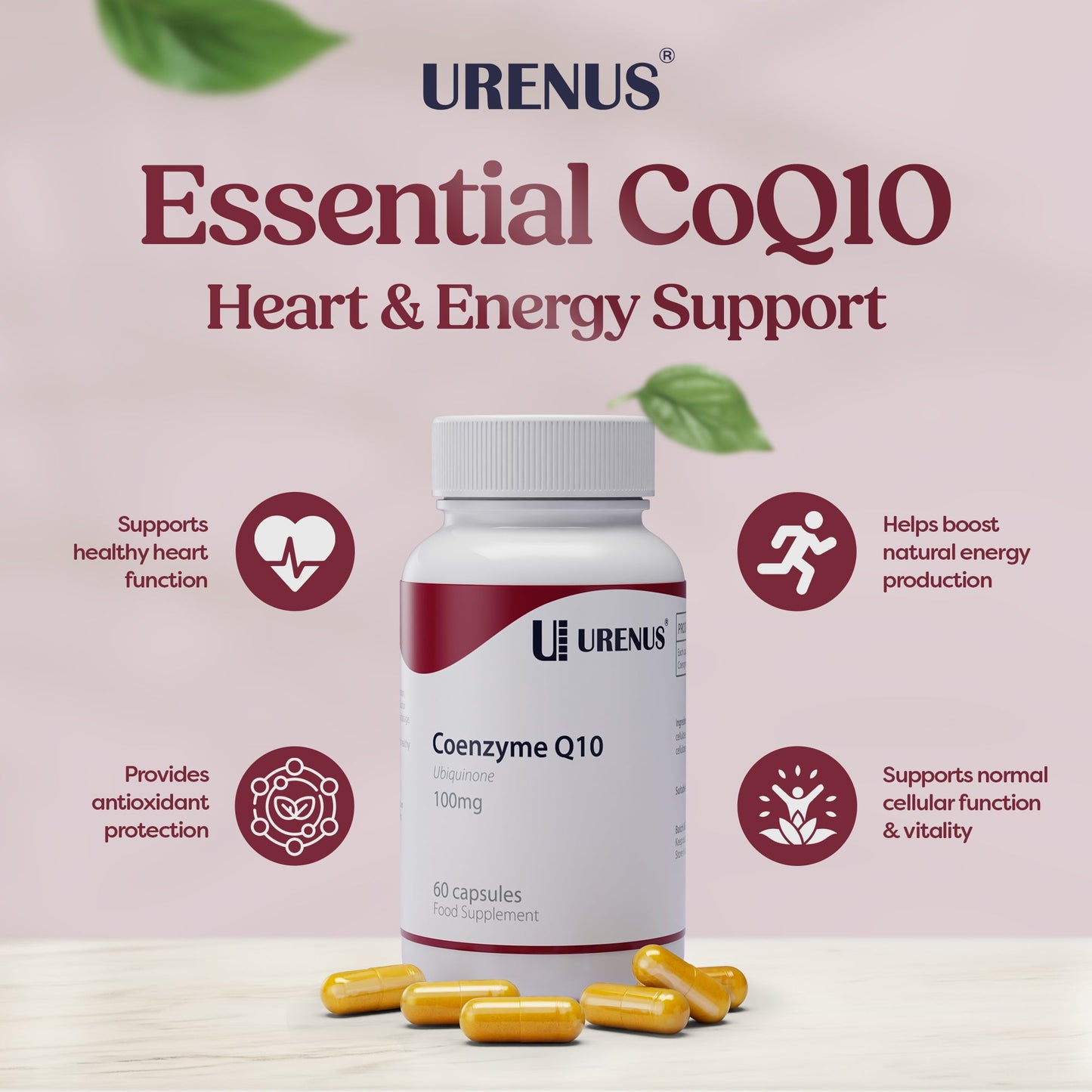 Coenzyme Q10 – 100 mg - 60 Capsules