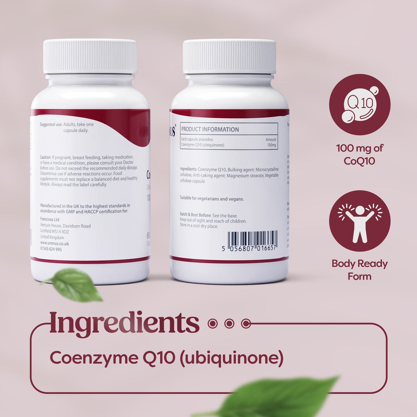 Coenzyme Q10 – 100 mg - 60 Capsules