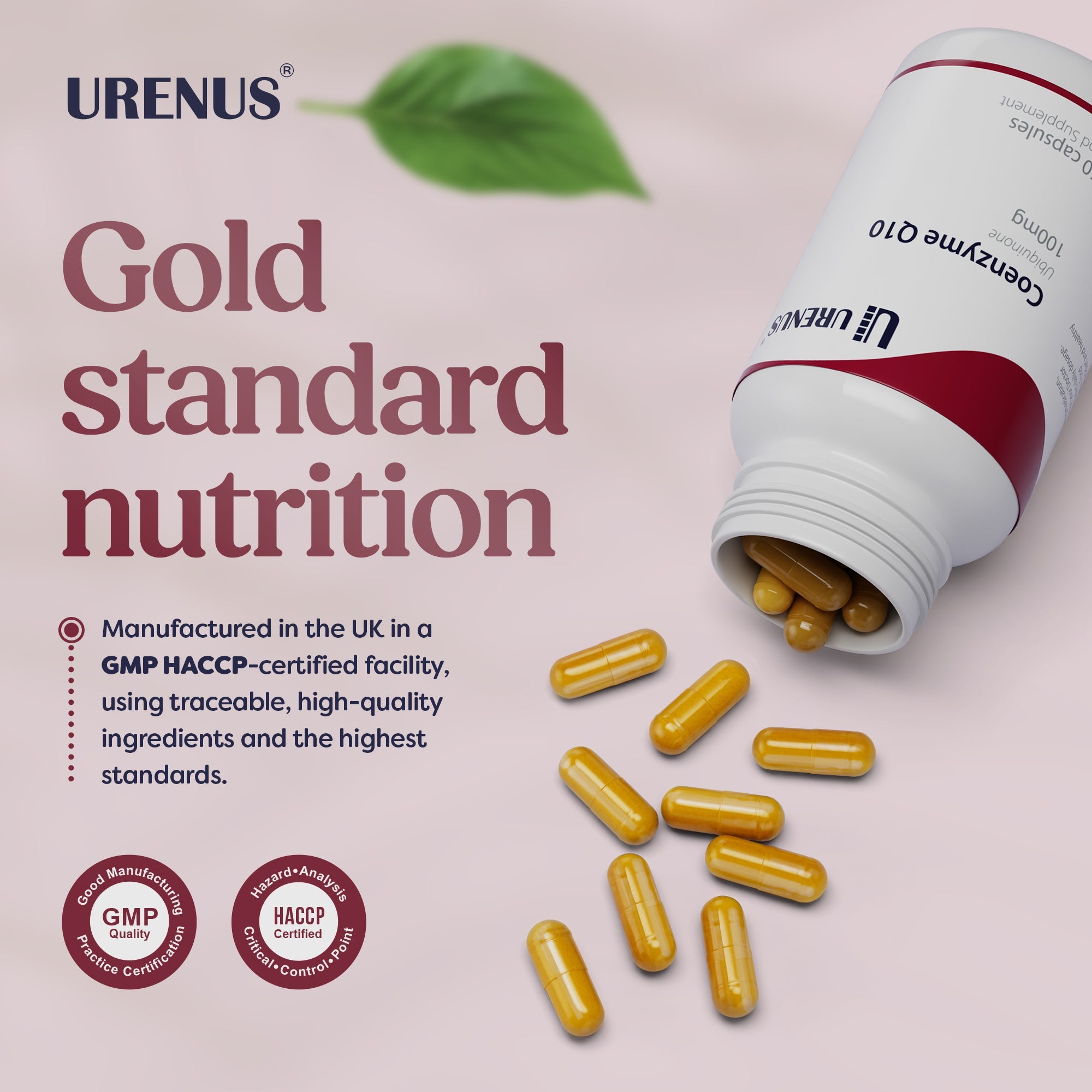 Coenzyme Q10