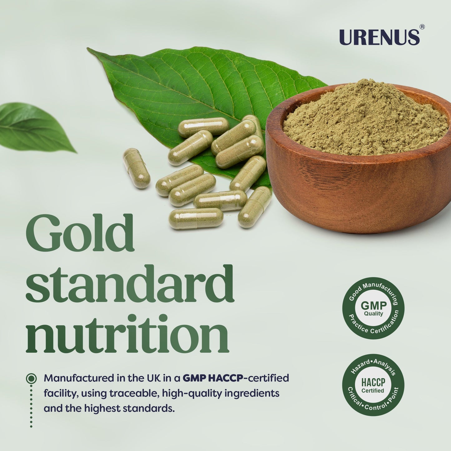 Ashwagandha 1300mg - 60 Capsules