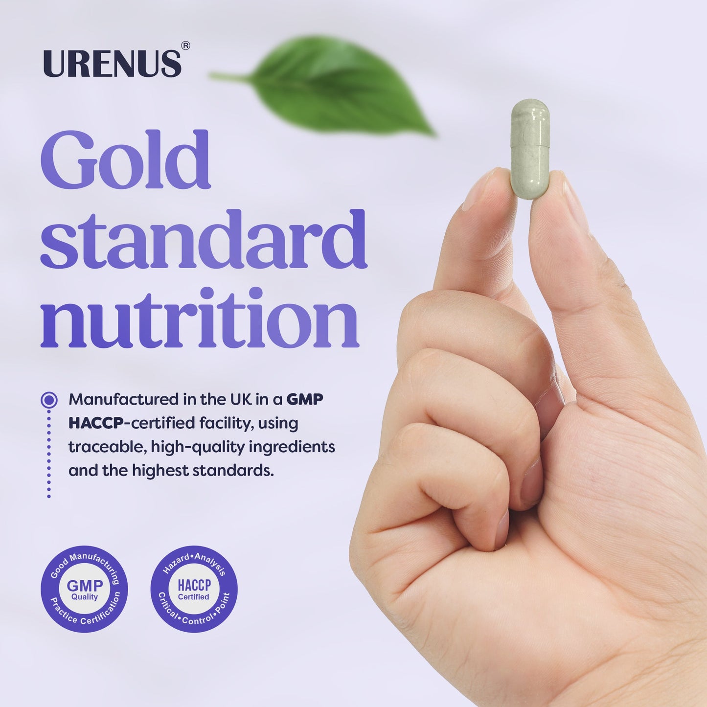 5-MTHF (Methyltetrahydrofolate Calcium) - 60 Capsules