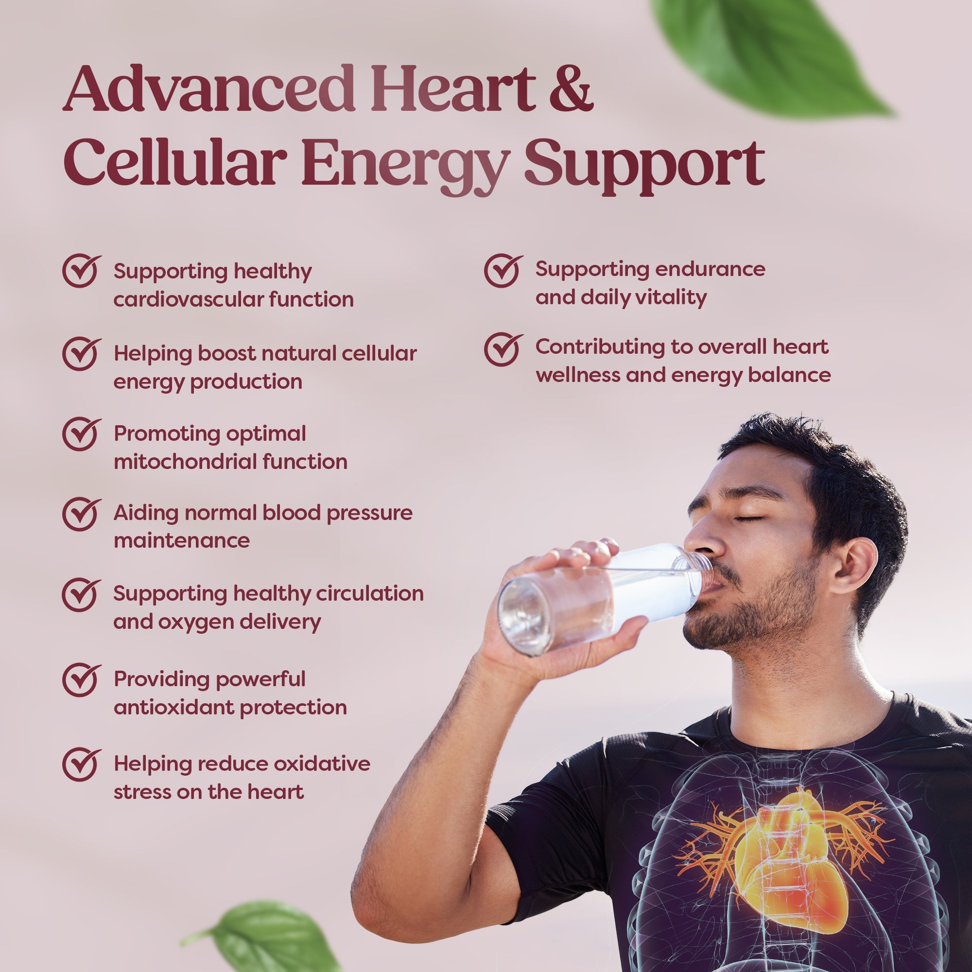 Coenzyme Q10