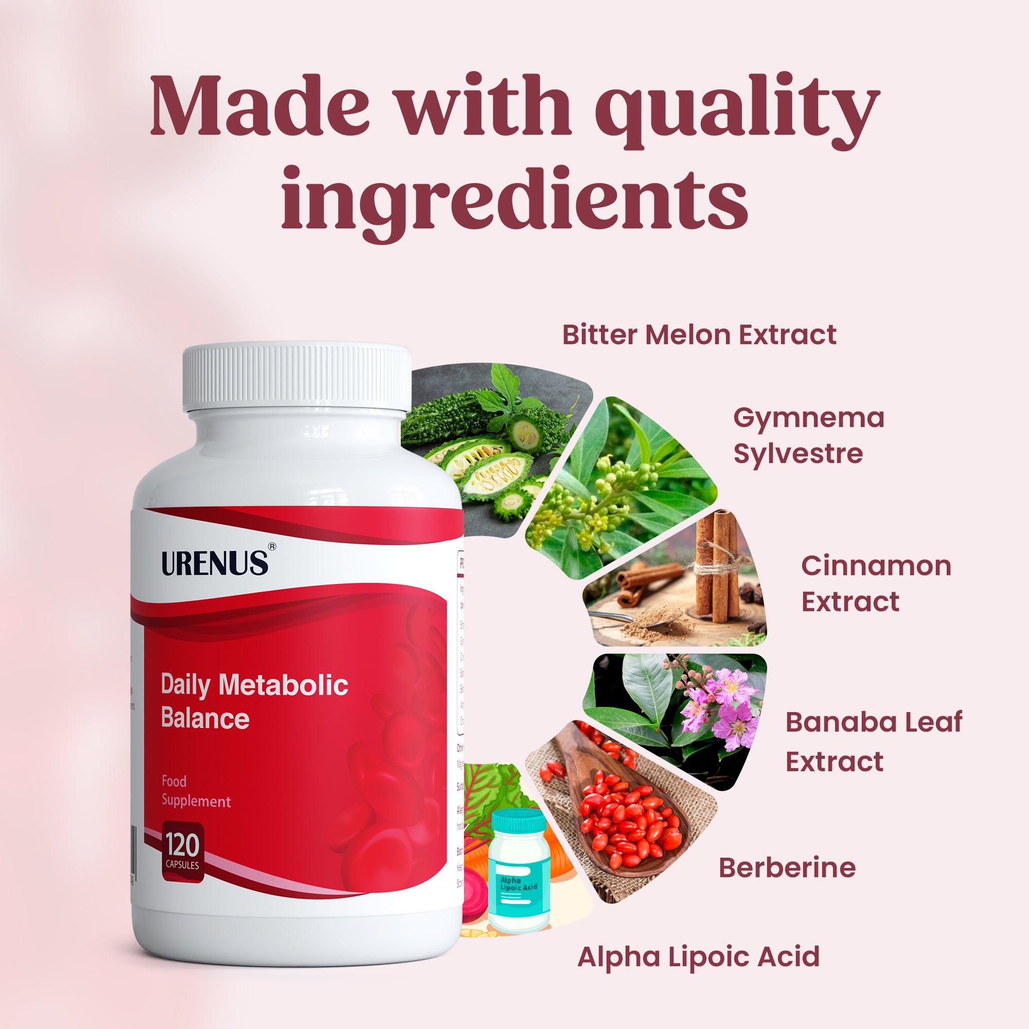 Daily Metabolic Balance